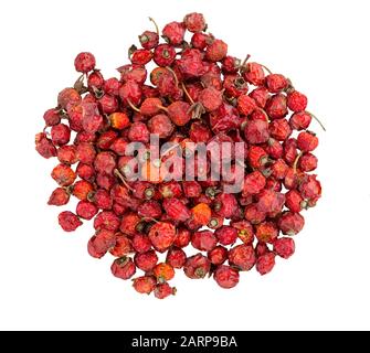 Bacche secche Rosa fianchi isolati su uno sfondo bianco. Medicina naturale di erbe, erbe medicinali. Mucchio di dogosse. Frutta secca rossa. Cibo sano. Foto Stock