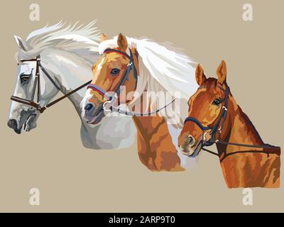 Variopinto vettore ritratti realistici di tre cavalli che guardano nel profilo. Gruppo di cavalli in bridle isolato su sfondo beige. Vettore colorato portra Illustrazione Vettoriale