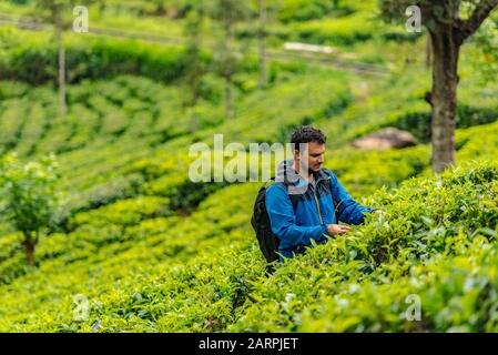 Haputale, Sri Lanka - 23 novembre 2019: Giovane Touiste in fabbrica di tè nella piantagione di tè vicino Haputale. Sri Lanka. Foto Stock