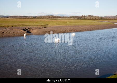 Il canale del fiume acquitrino See Gate di sabbia vicino al villaggio di Flookborough riva di Morecambe Bay una giornata invernale dei Laghi Sud Cumbria Foto Stock