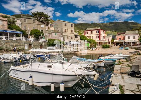Pesca e imbarcazioni da diporto a marina e porto nel villaggio di Centuri, Corsica, Francia Foto Stock