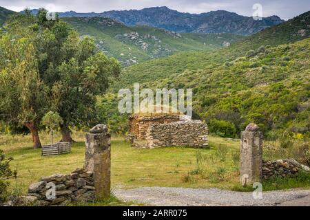 Capanna in pietra, fattoria abbandonata in collina nella regione di Nebbio, nei pressi di Saint-Florent, dipartimento Haute-Corse, Corsica, Francia Foto Stock