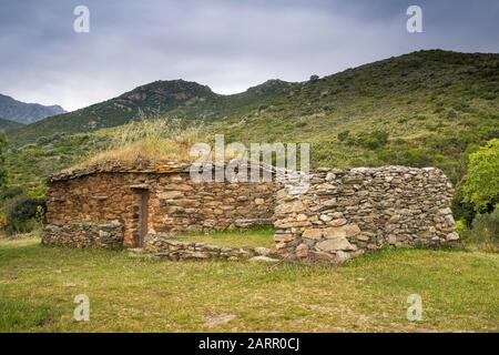 Capanna in pietra, fattoria abbandonata in collina nella regione di Nebbio, nei pressi di Saint-Florent, dipartimento Haute-Corse, Corsica, Francia Foto Stock