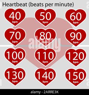 Infografica che mostra un cuore e valori diversi per i battiti cardiaci al minuto Illustrazione Vettoriale