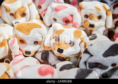 Ibajay, Aklan Provincia, Filippine: Primo piano di piccoli cani peluche super carino in vendita in Asia Foto Stock