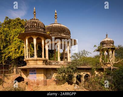 India, Rajasthan, Shekhawati, Nawalgarh, chhatri, memoriale cenotafi chhatri alla periferia della città Foto Stock