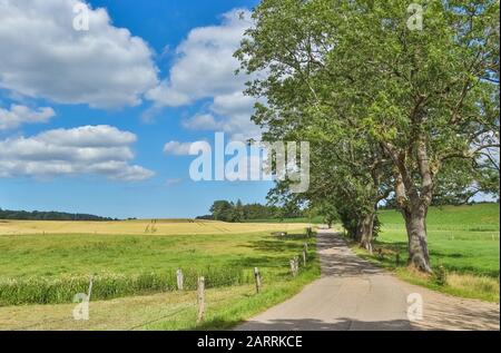 Il bellissimo paesaggio collinare vi invita sempre a fare una passeggiata. Ostholstein, Germania Settentrionale Foto Stock
