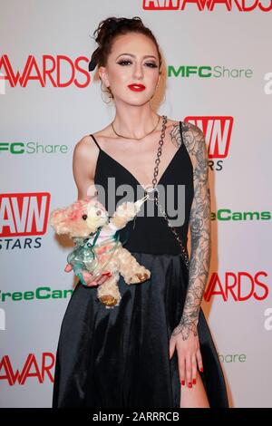 Kendra Cole partecipa alla Video News sull'adulto 2020 AVN Awards al Joint Inside Hotel Hard Rock & Casino di Las Vegas, Nevada, USA, il 25 gennaio 2020. | utilizzo in tutto il mondo Foto Stock