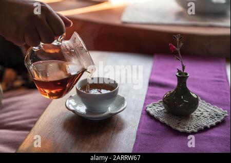 La mattina, una donna che versa tè caldo in tazza con fiore in vaso Foto Stock