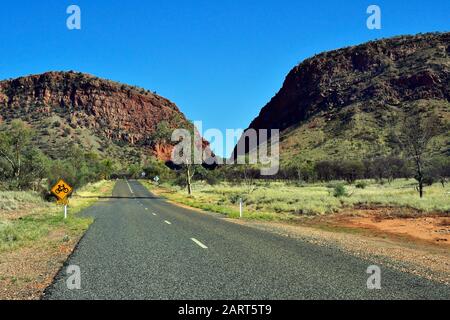 Australia, NT, McDonnell Range, pista ciclabile che attraversa Namtjira Drive Foto Stock