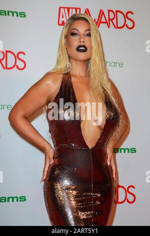 Bridgette B partecipa alla Video News sull'adulto 2020 AVN Awards al Joint Inside Hotel Hard Rock & Casino di Las Vegas, Nevada, USA, il 25 gennaio 2020. | utilizzo in tutto il mondo Foto Stock