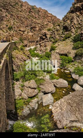Canyon della Scala di Santa Regina, Valle del fiume Golo, ponte sulla strada D-84, Haute-Corse, Corsica, Francia Foto Stock