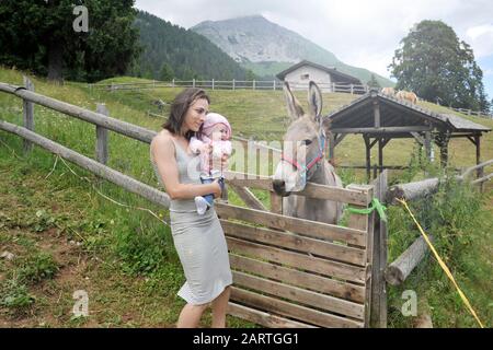 Mamma con sua figlia stanno incontrando un asino nella fattoria didattica. Concetto di infanzia felice. PET terapia concetto in campagna. Foto Stock