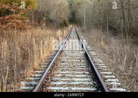 Binari ferroviari abbandonati che conducono nella foresta. Penrose (vicino Brevard), Carolina del Nord, Stati Uniti Foto Stock