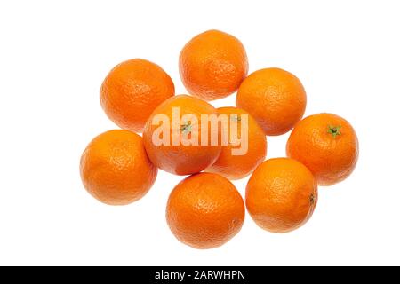 Immagine orizzontale di nove tangerini su sfondo bianco con spazio di copia. Uno è accatastato sugli altri. Foto Stock