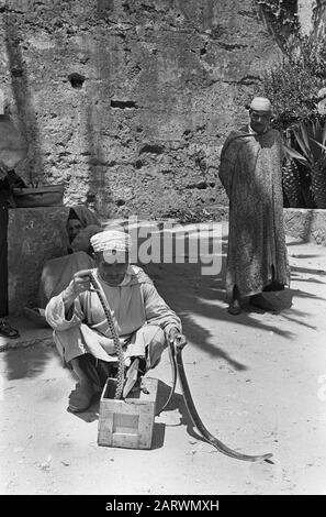 Tangeri (Marocco). Snake Charmer Data: 9 Agosto 1967 Luogo: Marocco Parole Chiave: Snake Charmers Foto Stock