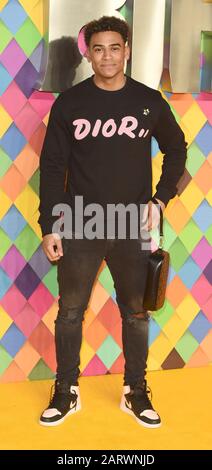 La foto Deve Essere Accreditata ©Alpha Press 079965 29/01/2020 Jordan Hames al Birds of Prey World Premiere tenuto presso l'Odeon BFI IMAX Waterloo London Foto Stock