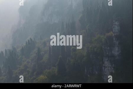 Vista sul fiume Yangtze per il viaggiatore con la zona tre gole, la parte del fiume Yangtze nella città di Yichang, provincia Hubei Cina. L'albero Foto Stock