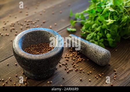 coriandolo semi e foglie coriandolo con mortaio di granito Foto Stock