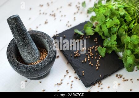coriandolo semi e foglie coriandolo con mortaio di granito Foto Stock