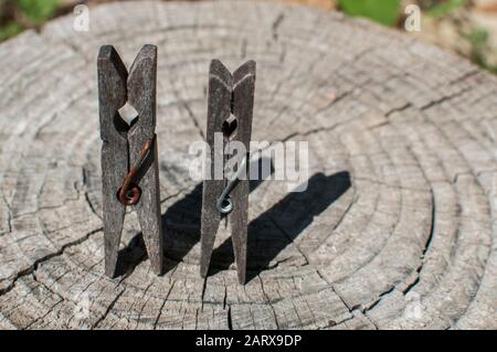 Vecchie spine di legno di vestiario stagionato su vecchio tronco di albero tagliato primo piano Foto Stock