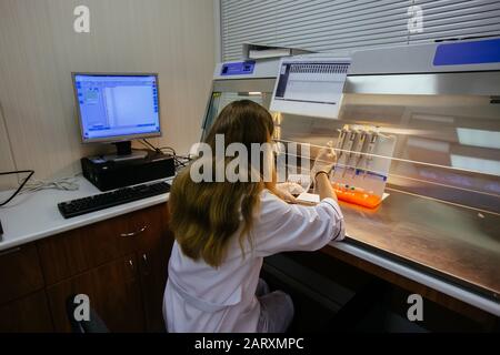 Lo scienziato lavora in una scatola laminare. Mette campioni di frammenti di DNA per elettroforesi Foto Stock