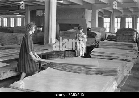 Finlandia Compensati Annotazioni: Descrizione in log: 2x compensato factory, 1x laghi aerei Kuopio Data: 5 luglio 1967 Località: Finlandia Parole Chiave: Lavoro, fabbriche, industria del legno, donne Foto Stock