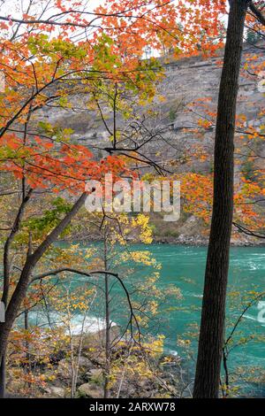Il fiume Niagara e i colorati alberi d'acero visti in autunno dal Niagara Glen, un'area popolare sul lato dell'Ontario con escursionisti e arrampicatori di roccia. Foto Stock