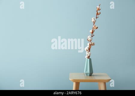 Vaso con bellissimi fiori di cotone sul tavolo con sfondo colorato Foto Stock