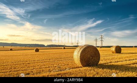 Balle di fieno sul campo agricolo dorato. Paesaggio soleggiato con balle di fieno rotonde in estate. Paesaggio rurale di pile di paglia al tramonto. Panorama di giallo Foto Stock
