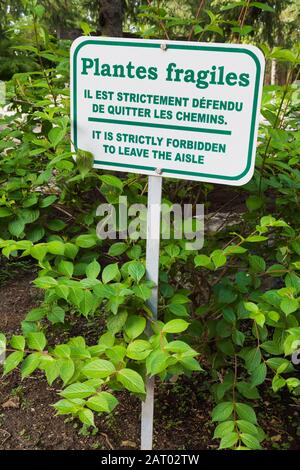 Letterata verde su sfondo bianco bilingue francese e inglese fragile piante avvertimento metallo signpost nel bordo accanto al percorso Foto Stock