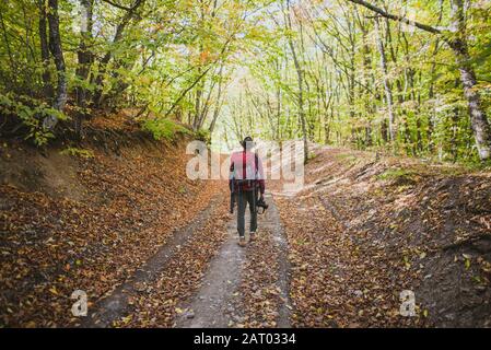 L'uomo trekking nella foresta Foto Stock