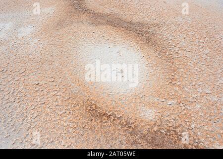 Disegni sulla crosta rosa del lago Hart, una vasta saltpan in Australia del sud, Australia Foto Stock