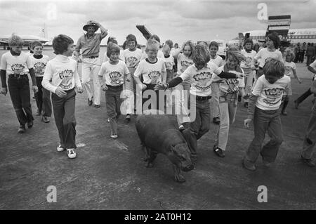 Nano Nijlhorse Hugo de Hippo a Zestienhoven arrivati scolari e il nano ijlhorse Data: 2 giugno 1976 Parole Chiave: Arrivi, hippos, scolari Nome dell'istituzione: Zestienhoven Foto Stock