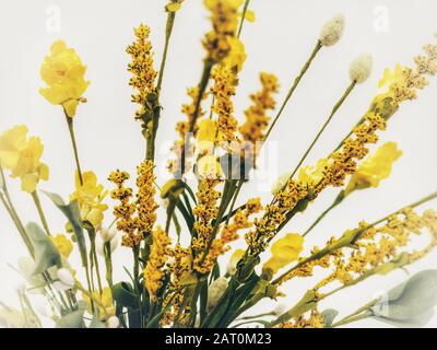 Giallo Artificial Wildflowers Macro Shot Up Chiudi Foto Stock