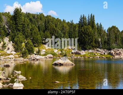 L'acqua cristallina di un lago di montagna mostra le rocce in fondo. Circondato da una pineta, offre un paesaggio scenico e sereno. Foto Stock