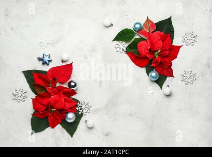 Bella composizione di Natale con poinsettia su sfondo chiaro Foto Stock