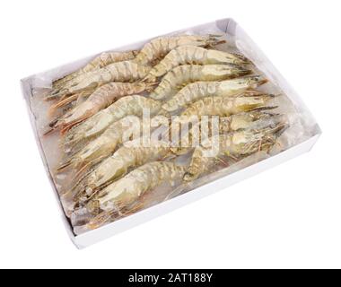 Scatola di gamberi congelati crudi tigre nero isolato su uno sfondo bianco Foto Stock