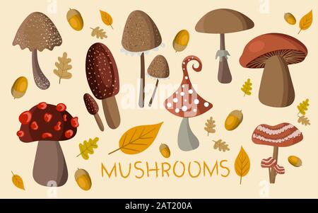 Cute raccolta funghi sullo sfondo. Adesivi a fungo per la creatività dei bambini, etichette per prodotti o un logo per un agricoltore. Illustrazione Vettoriale