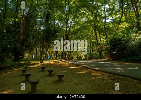 Parque da Lavandeira si trova a Oliveira do Douro, Vila Nova de Gaia, Portogallo. Ideale per percorsi a piedi, aree picnic e giardini tematici. Foto Stock