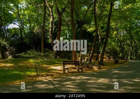 Parque da Lavandeira si trova a Oliveira do Douro, Vila Nova de Gaia, Portogallo. Ideale per percorsi a piedi, aree picnic e giardini tematici. Foto Stock