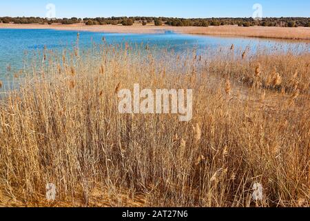 Zone umide in Spagna. Lagunas del Ruidera. Albacete Ciudad Real Paesaggio Foto Stock