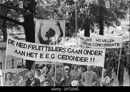 Frutticoltori dimostrare con segni all'Aia; manifestanti in rotta verso il Ministero dell'Agricoltura Data: 27 maggio 1970 Località: L'Aia, Zuid-Holland Parole Chiave: Dimostranti, dimostrazioni, frutticoltori Nome dell'istituzione: Ministero dell'Agricoltura e della pesca Foto Stock