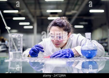 Donna brunetta assistente di laboratorio con piatto Petri in mani su sfondo sfocato Foto Stock