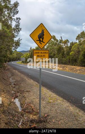 Tasmania, Australia - 5 gennaio 2015: Segnale di avvertimento per Kangaroo Crossing sulla strada statale Austalian e numero di assistenza per la fauna selvatica ferita Foto Stock