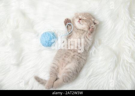 Gattino piccolo zenzero dorme su un tappeto bianco. Sonno. Relax Foto Stock