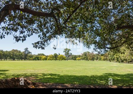 Vista Sul Fawkner Park, Melbourne Foto Stock