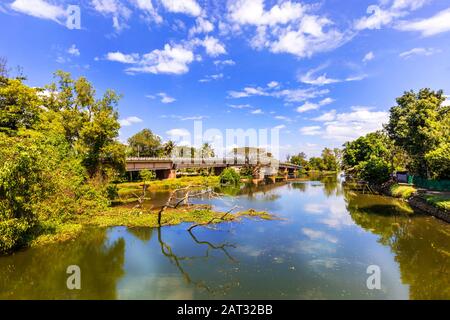 Bella vista di Alleppey backwaters sulla strada Alleppey a Changnassery strada in Kerala India. Foto Stock