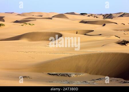 Le dune di sabbia vicino a Walvis Bay in Namibia Foto Stock