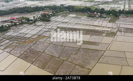 Campi agricoli dell isola di Luzon. Villaggio filippino e risaie inondate con acqua. I campi di riso sono pronti per la semina del riso. Foto Stock